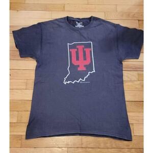 Indiana Hoosiers Champion T Shirt Mens Medium IU NCAA College Tee Medium